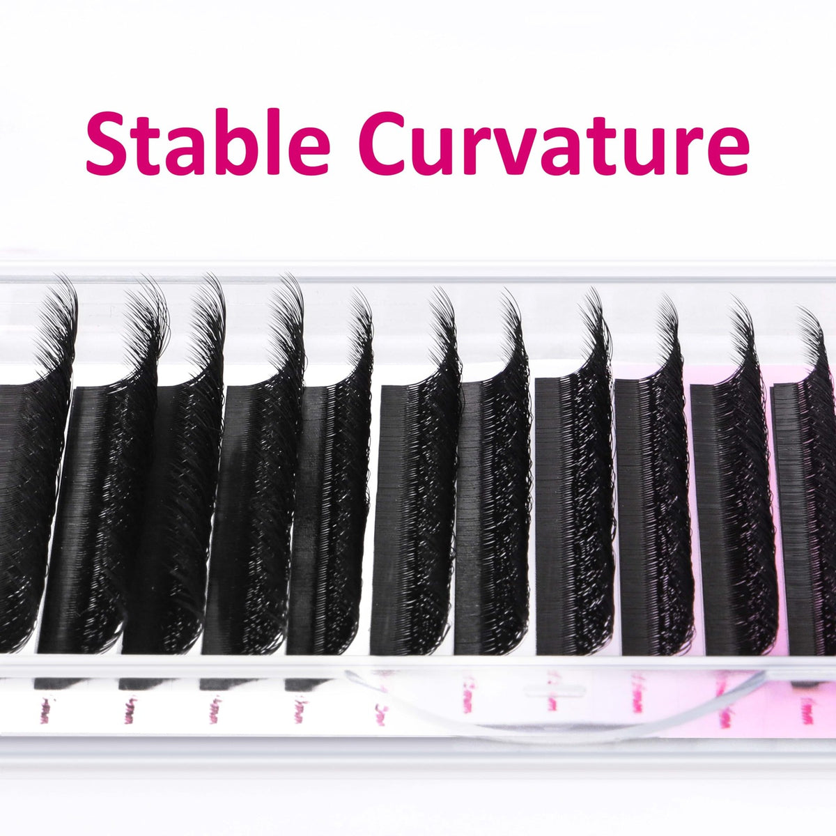 Eyelash Extensions Tray C/D Curl 9-15mm Mixed Length 5D-W Premium Silk