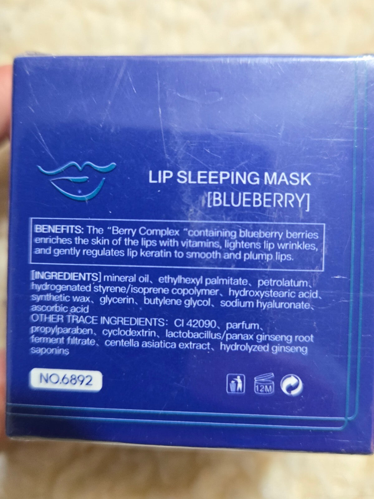 Blueberry Lip Sleeping Mask - Nourishing Lip Treatment 20g