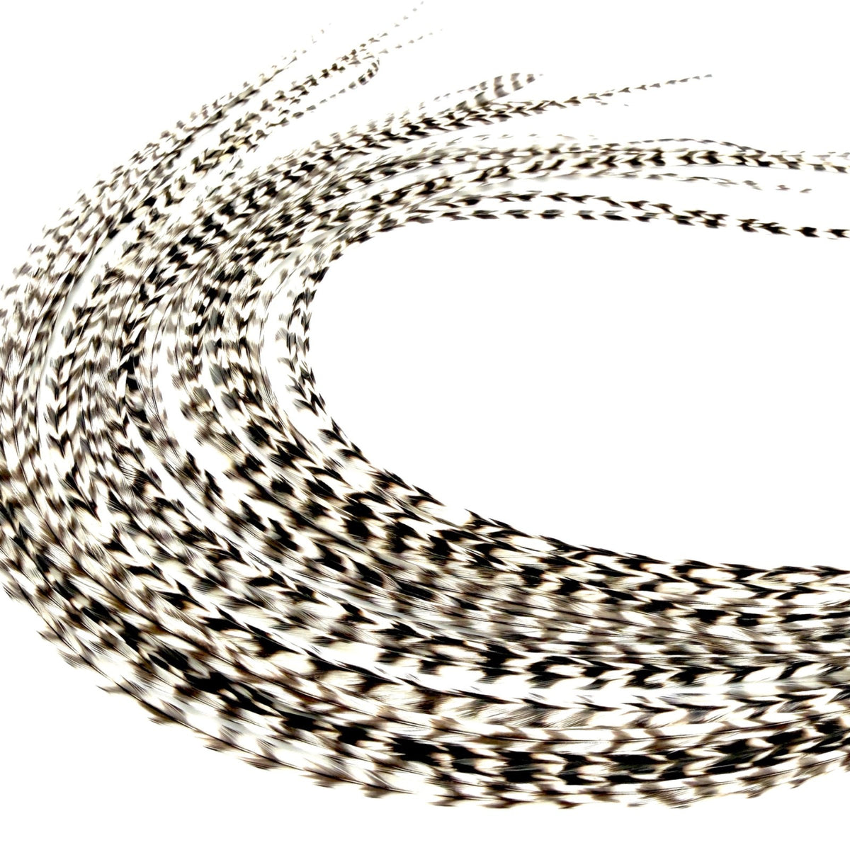 Real Feather Hair Extensions Set - 21 Black & White Rooster Feathers, Festival & Boho Hair Accessories