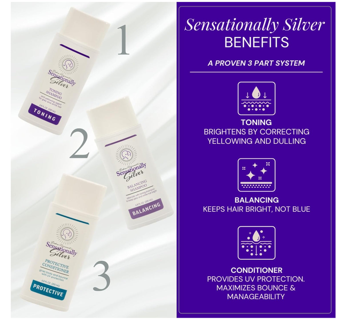 Sensationally Silver 3-Piece Gift Set – Premium Hair Care Trio for