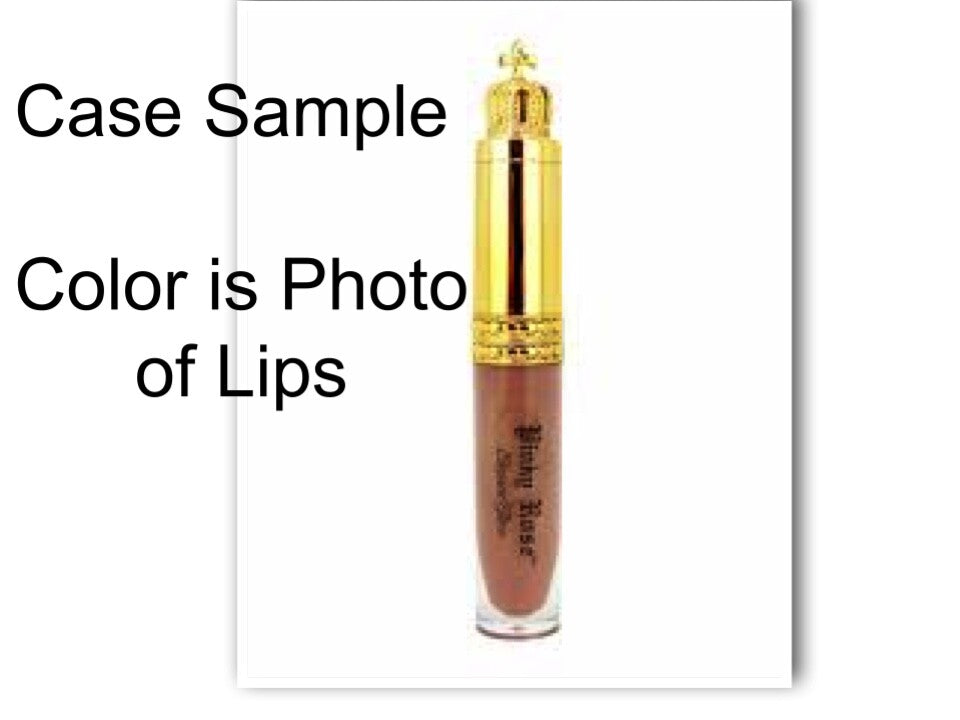 Elegant Pink Lip Gloss in Gold Box - Snatched Shine Lip Makeup