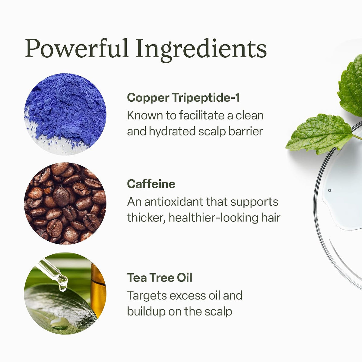 Scalp Serum Peptide Complex Caffeine Rosemary Oil 30ml Thinning Hair