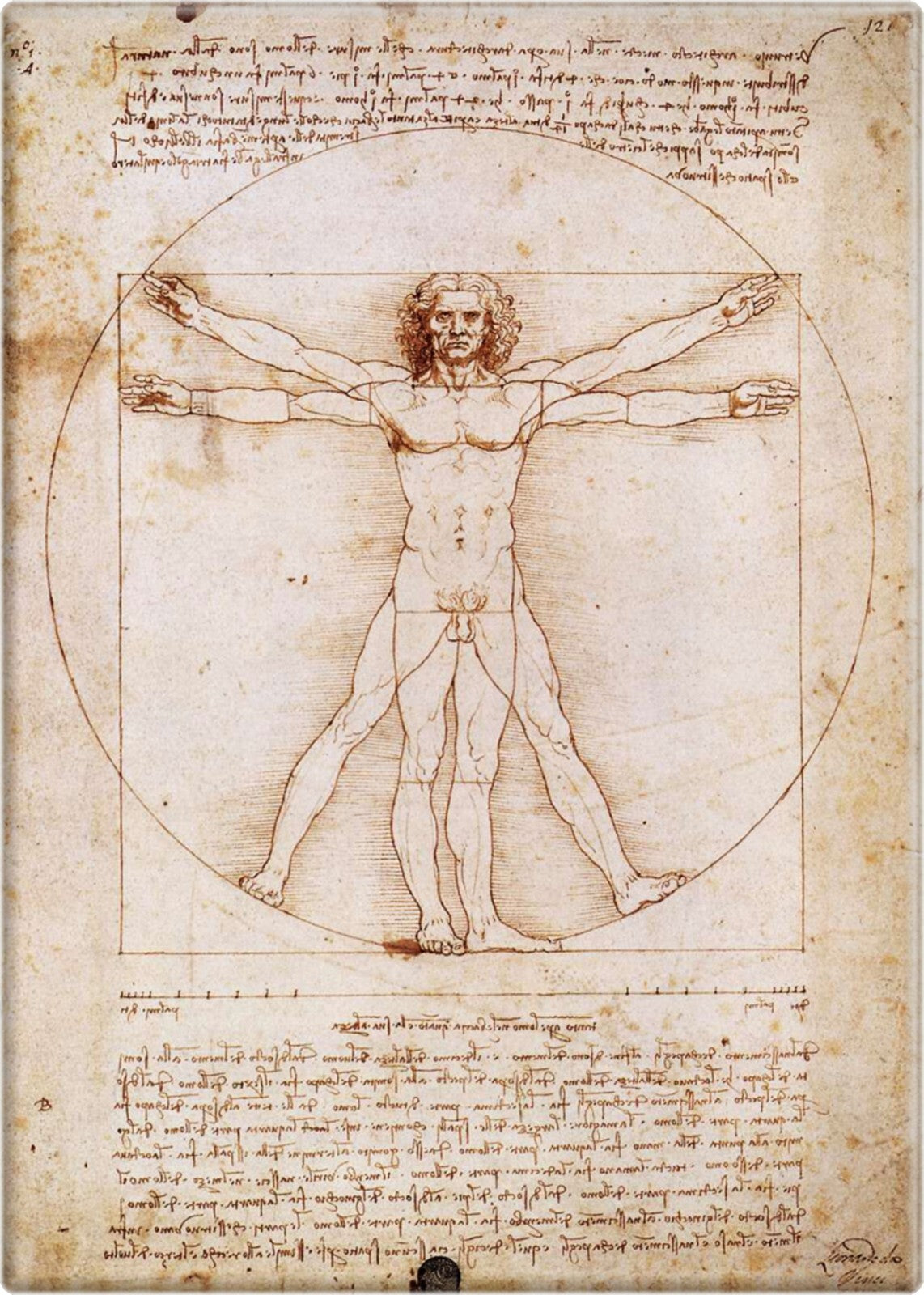 Vitruvian Man Compact Mirror - Da Vinci Art Reproduction, 2.5x3.5 Inches