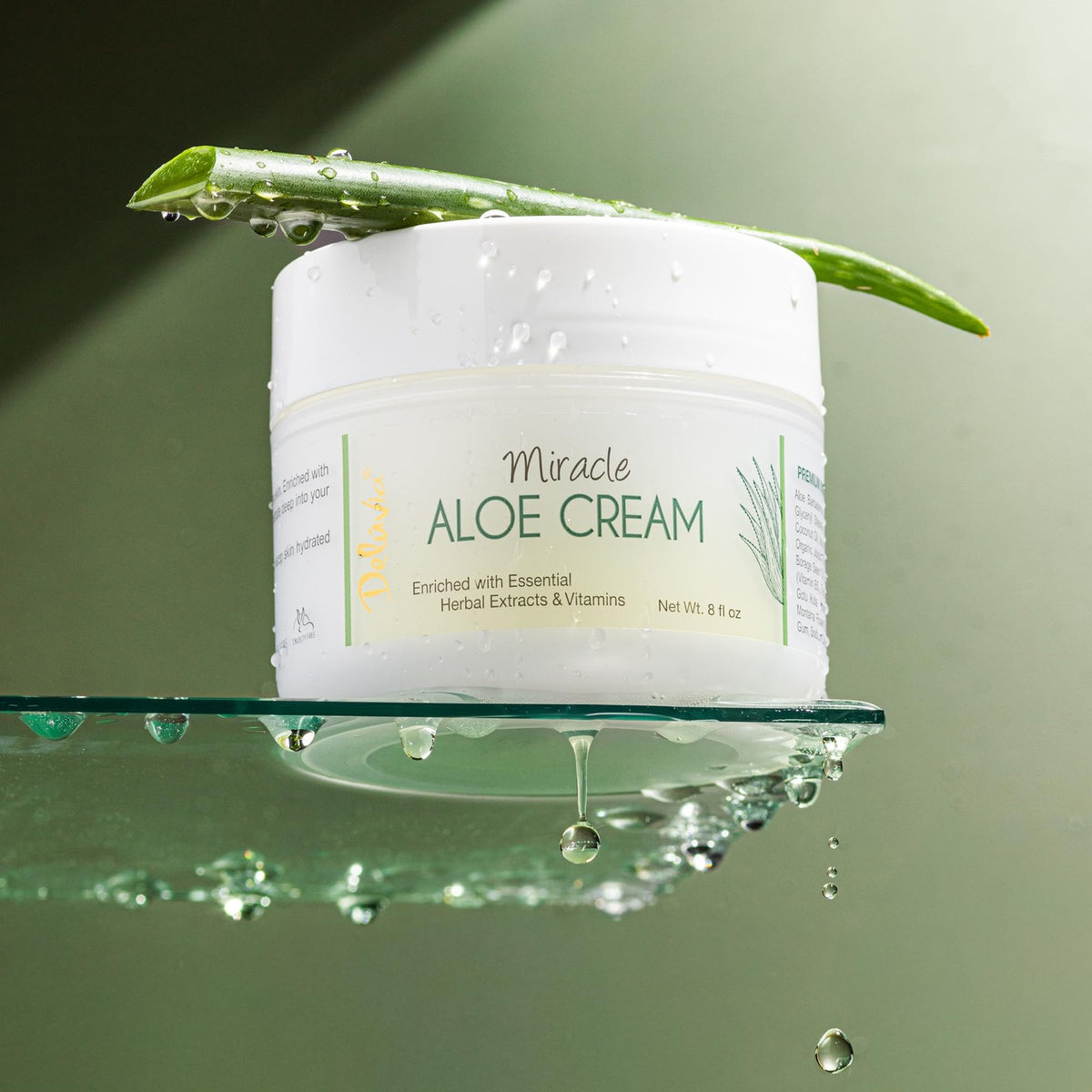 Aloe Vera Face & Body Moisturizer with Vitamin E - 2 oz