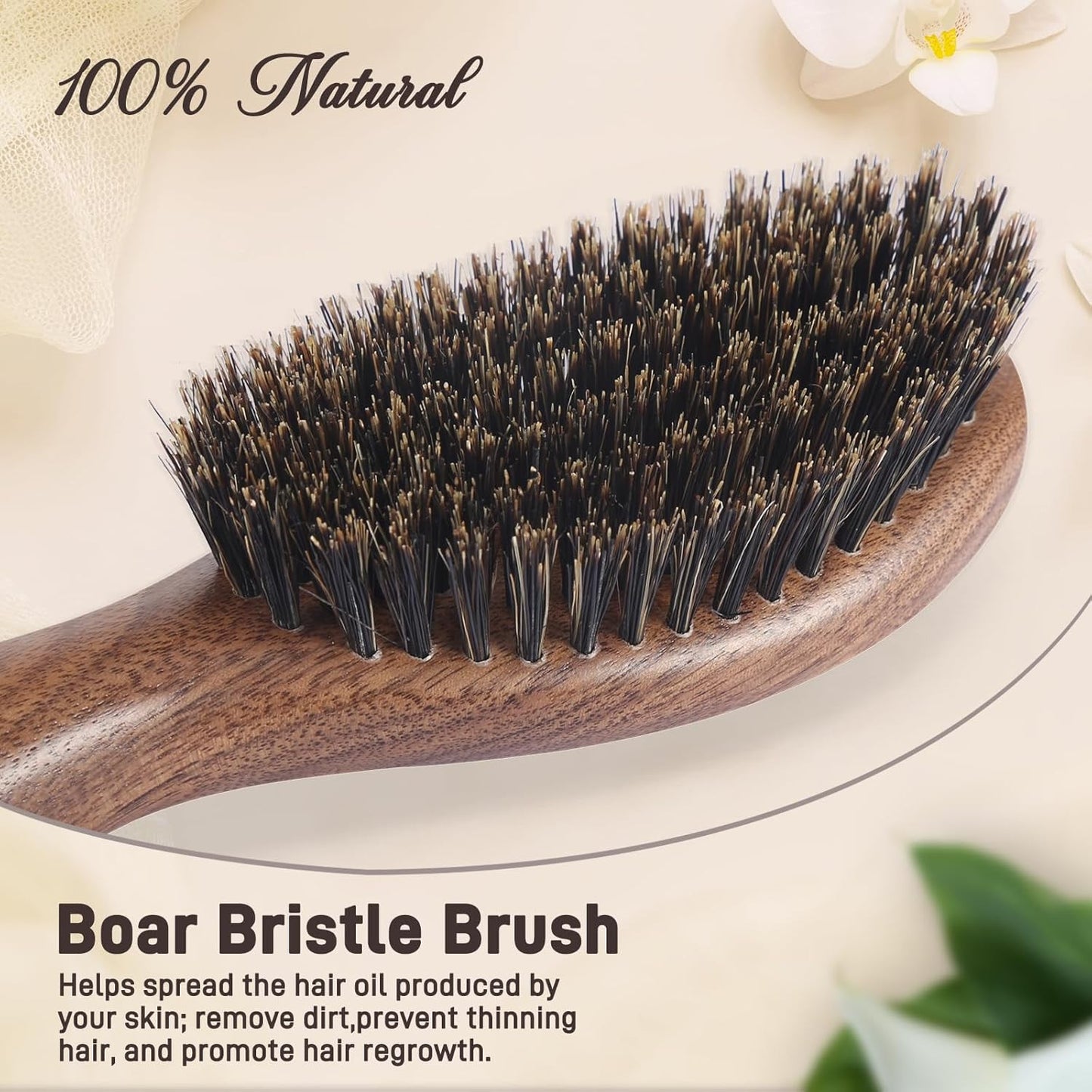 Natural Walnut Wood & Boar Bristle Hair Brush for Men Women & Kids