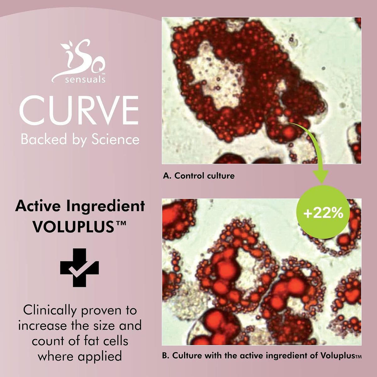 Butt Enhancement Cream for Natural Curves and Plumping - 2 Month Supply