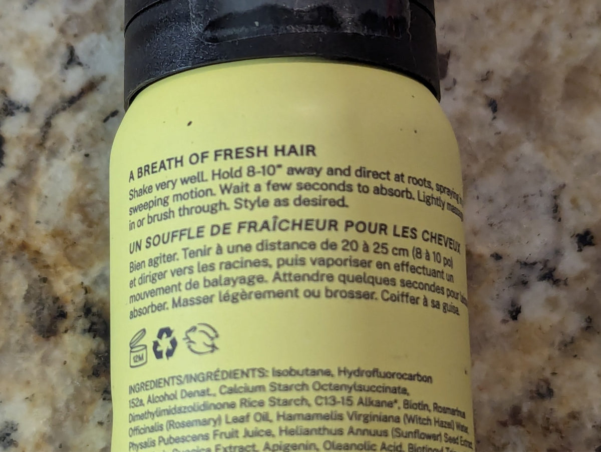 Dry Shampoo Travel Size Mini 1.7 oz - Hair & Personal Care