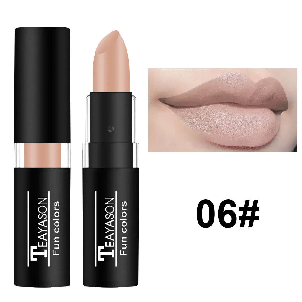 Waterproof Matte Lipstick - Red Dark Wine, Long-Lasting Lip Body Paint