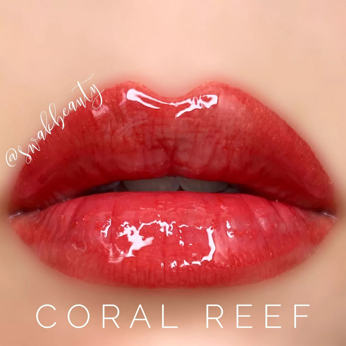 Long-Lasting Lip Color & Gloss Set - All Shades, Smudge-Proof & Waterproof