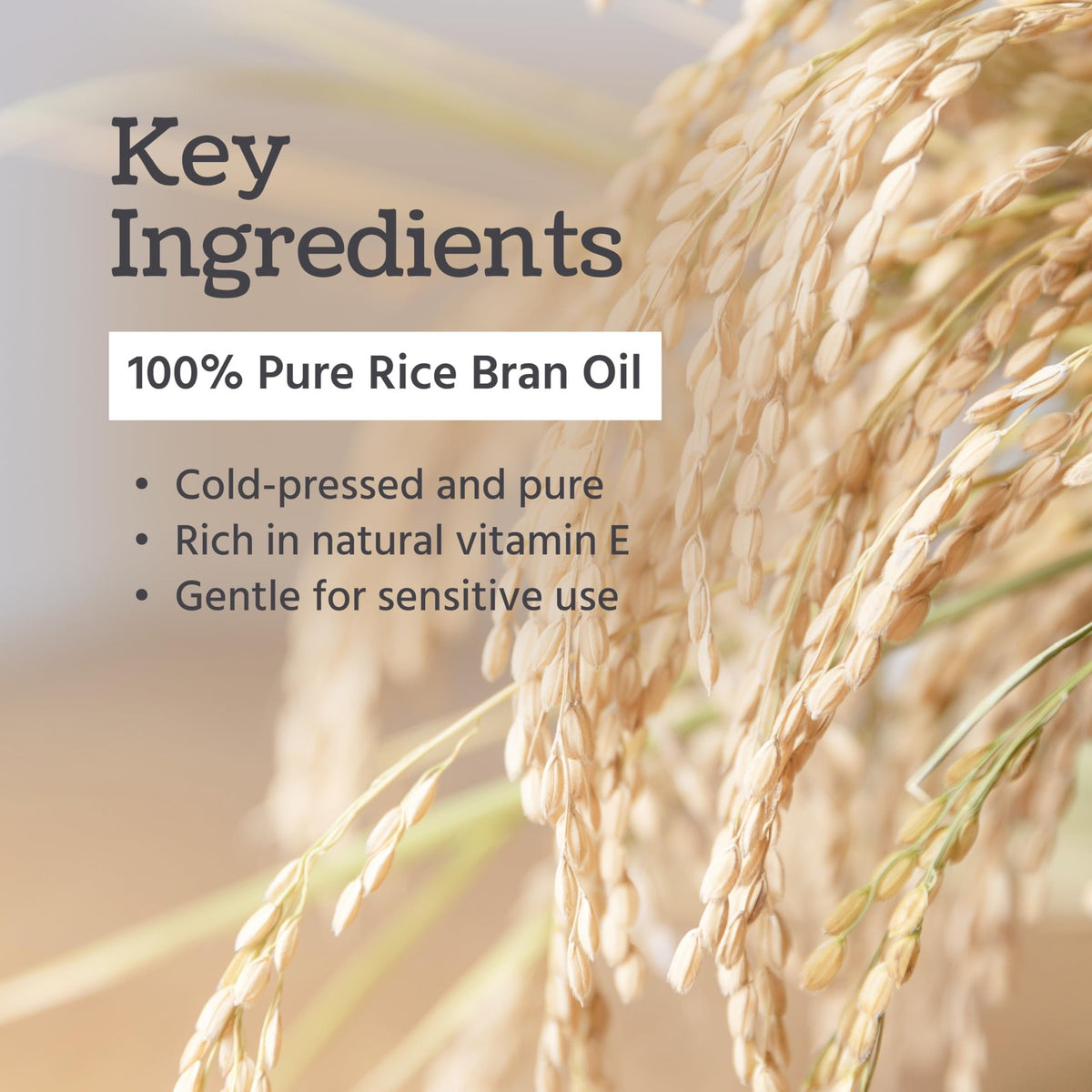 Pure Rice Bran Oil 4 oz - Moisturizing Skin & Hair Care Oil
