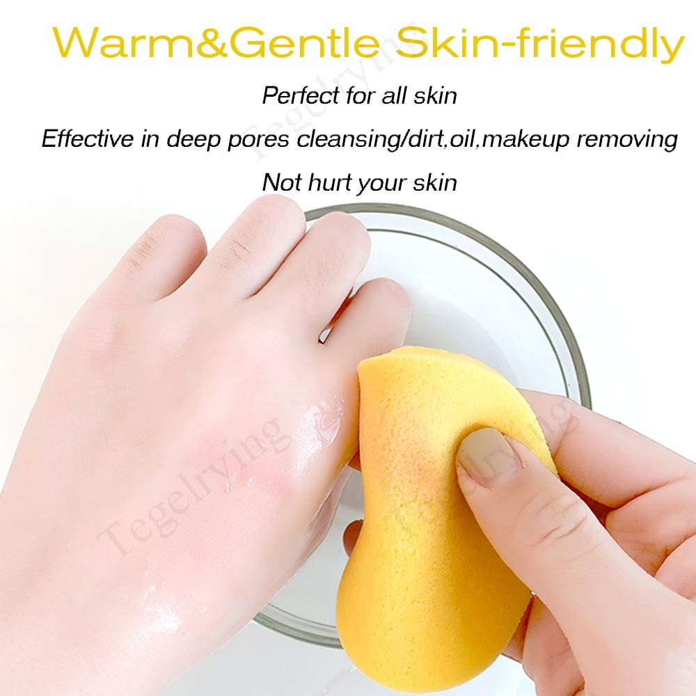 240 Pack Compressed Facial Sponges for Makeup Removal & Cleansing