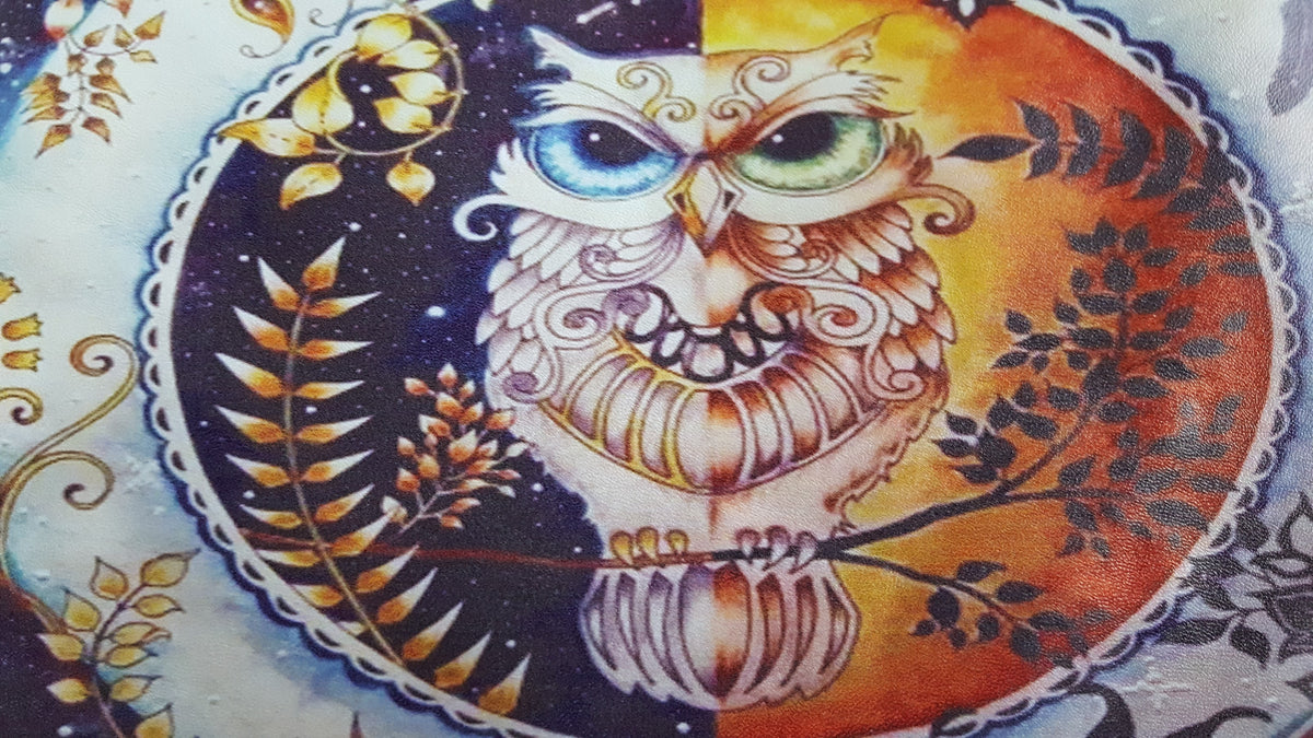 Owl Makeup Bag Cosmetic Pouch Travel Toiletry Case Small Pencil Storage