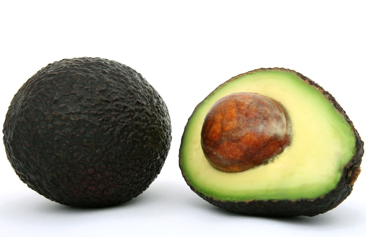 Pure Avocado Butter - Raw Cold Pressed Natural