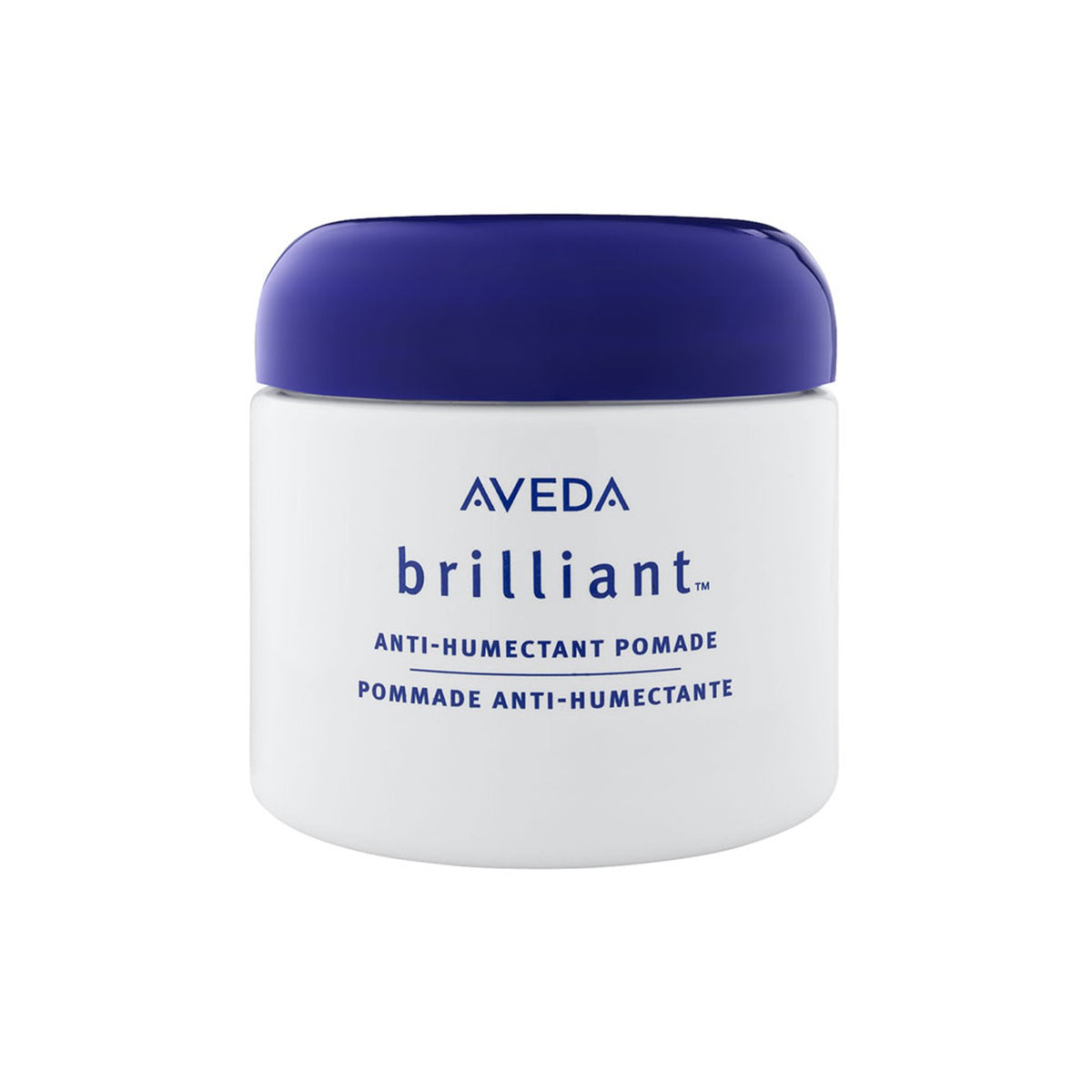 Aveda Anti-Humectant Pomade 2.6 oz. Moisture-Resisting Hair Styling Product