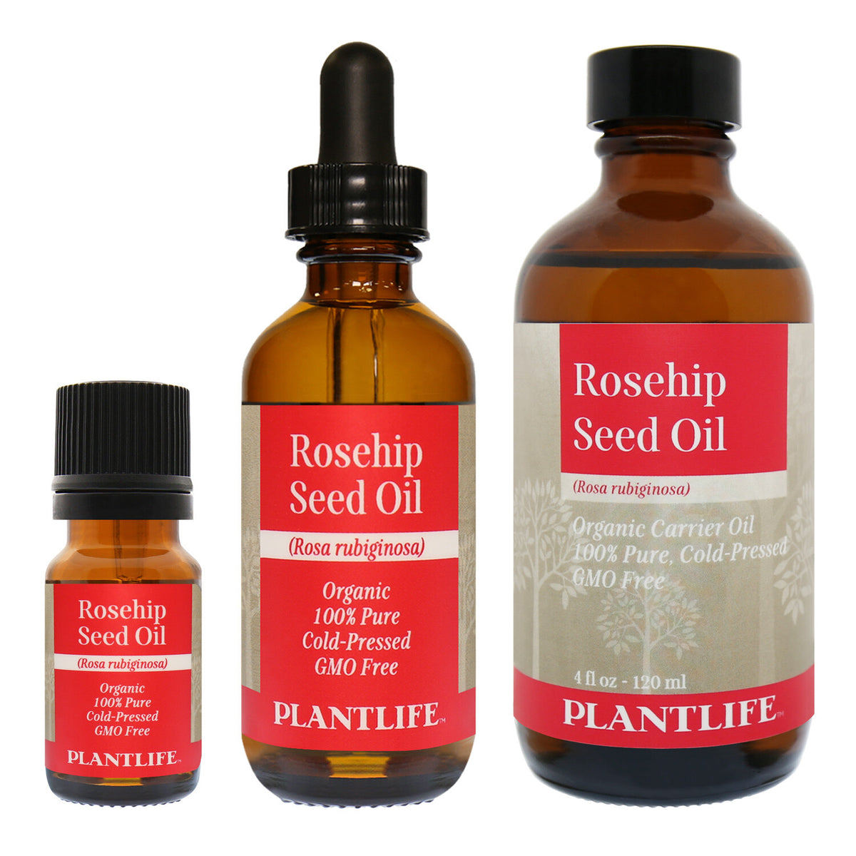 Plantlife Carrier Oil Set - Cold Pressed, Non-GMO, Skin & Hair Care