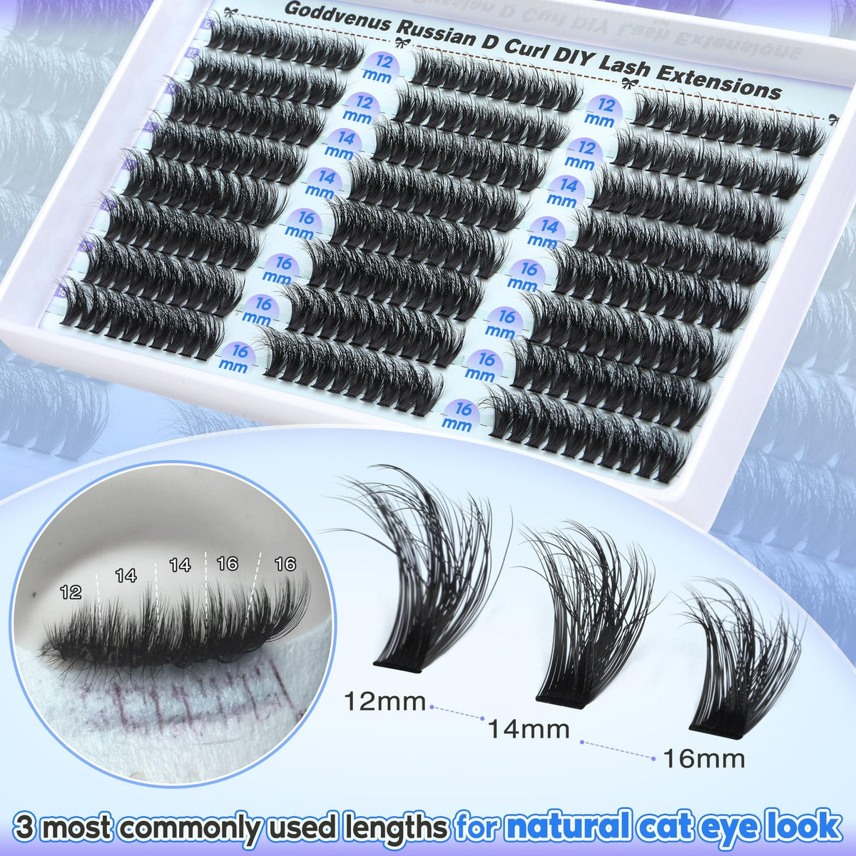 Wispy Lash Clusters Kit 240 Pairs Natural & Dramatic False Eyelashes