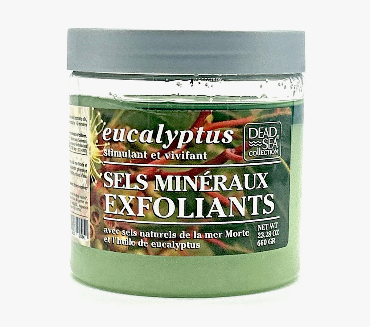 Dead Sea Collection Eucalyptus Exfoliating Mineral Salt Scrub (23.28