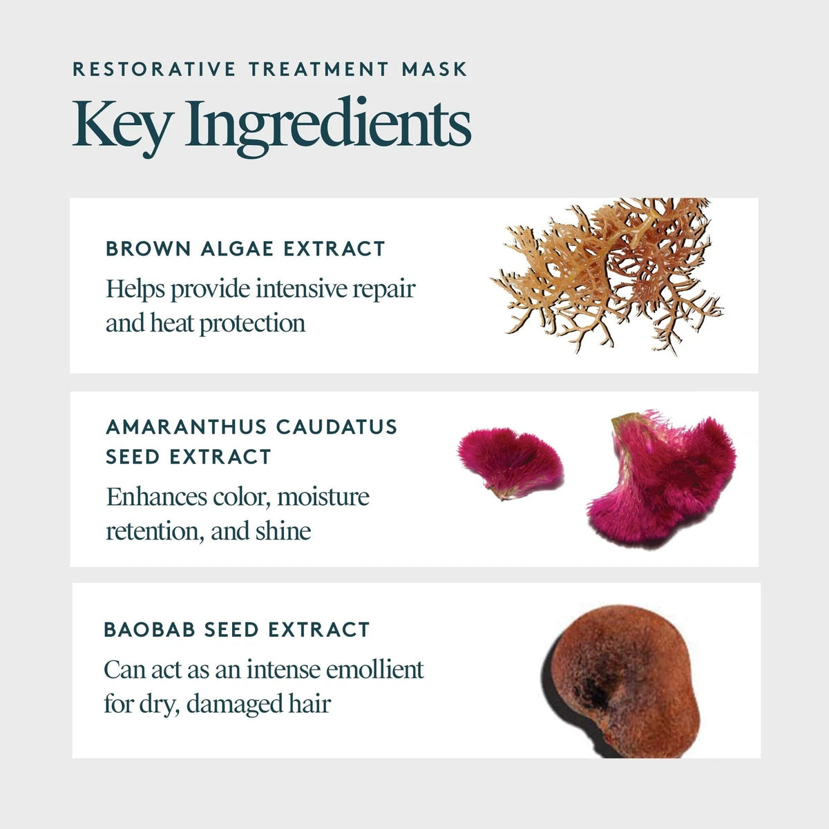 Restorative Hair Mask Treatment for Damaged Hair with Keratin & Baobab - 5 oz