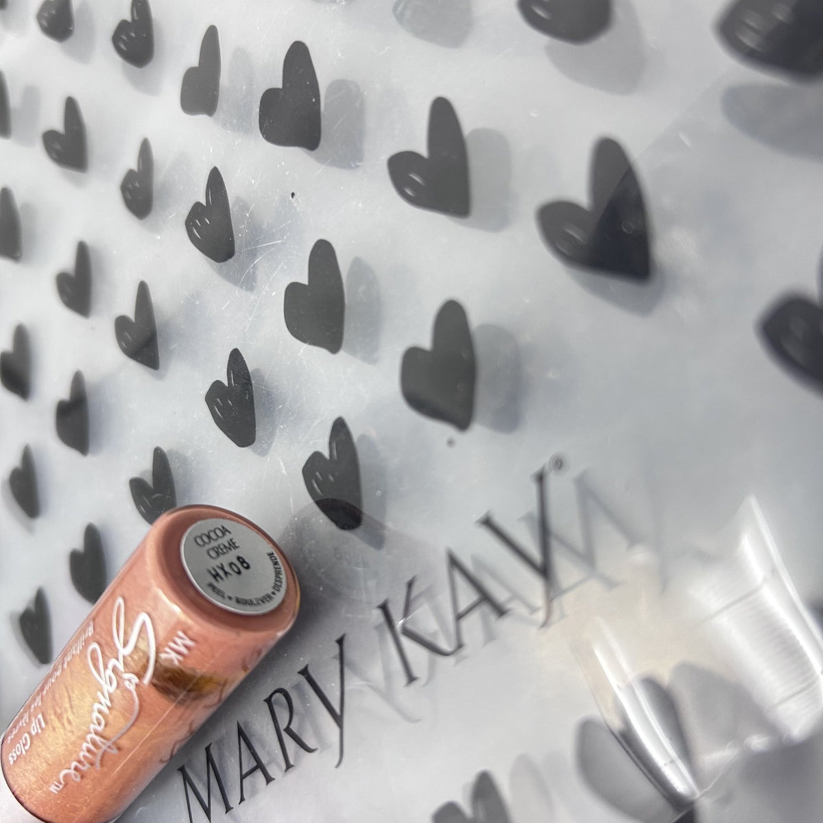 Discontinued Mary Kay Signature Lip Gloss Cocoa Creme 0.27 oz - No Box