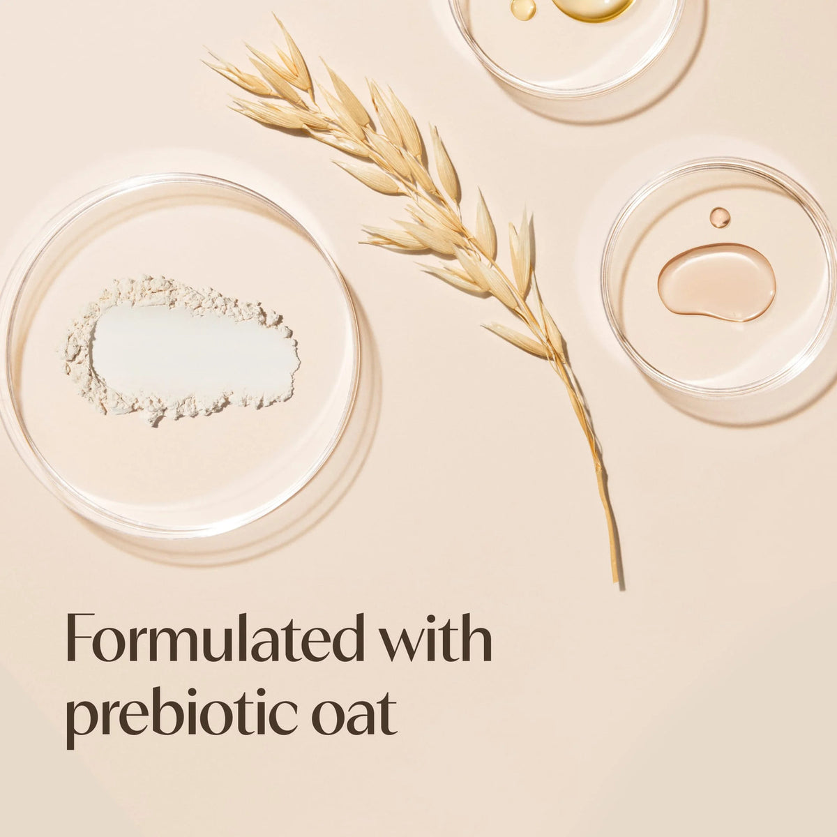 Daily Moisturizing Body Wash for Dry Sensitive Skin with Prebiotic Oat