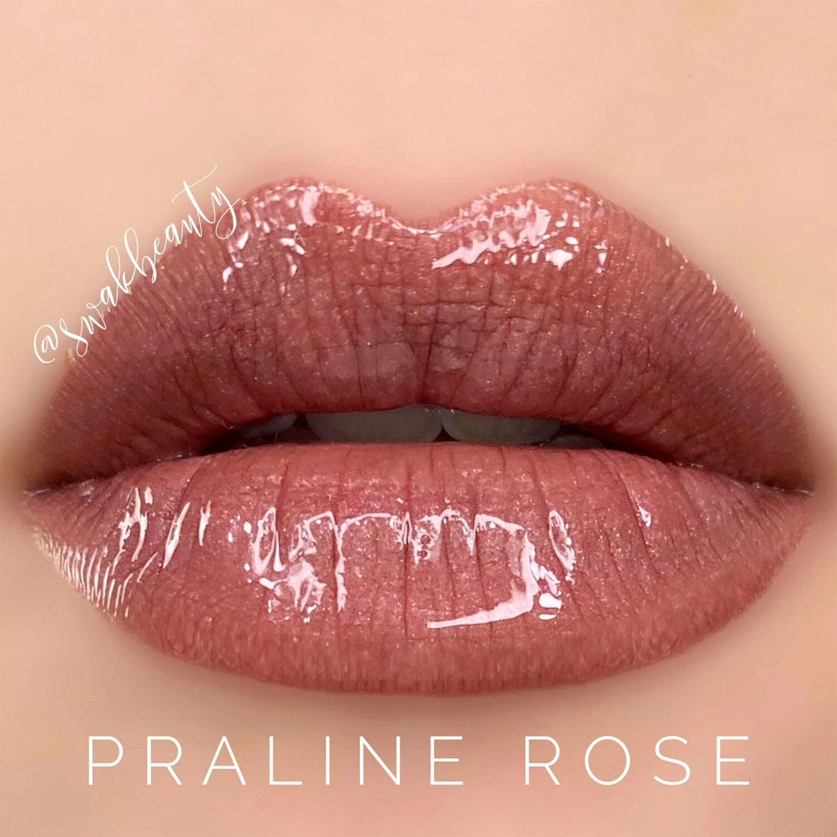 Long-Lasting Lip Color & Gloss Set - All Shades, Smudge-Proof & Waterproof