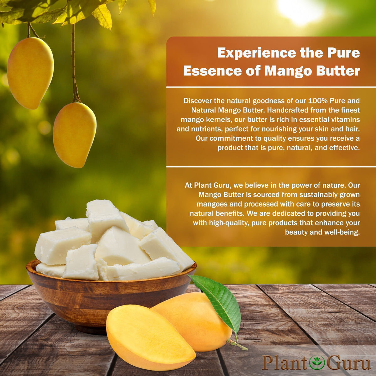 Raw Mango Butter 100% Pure Organic Unrefined