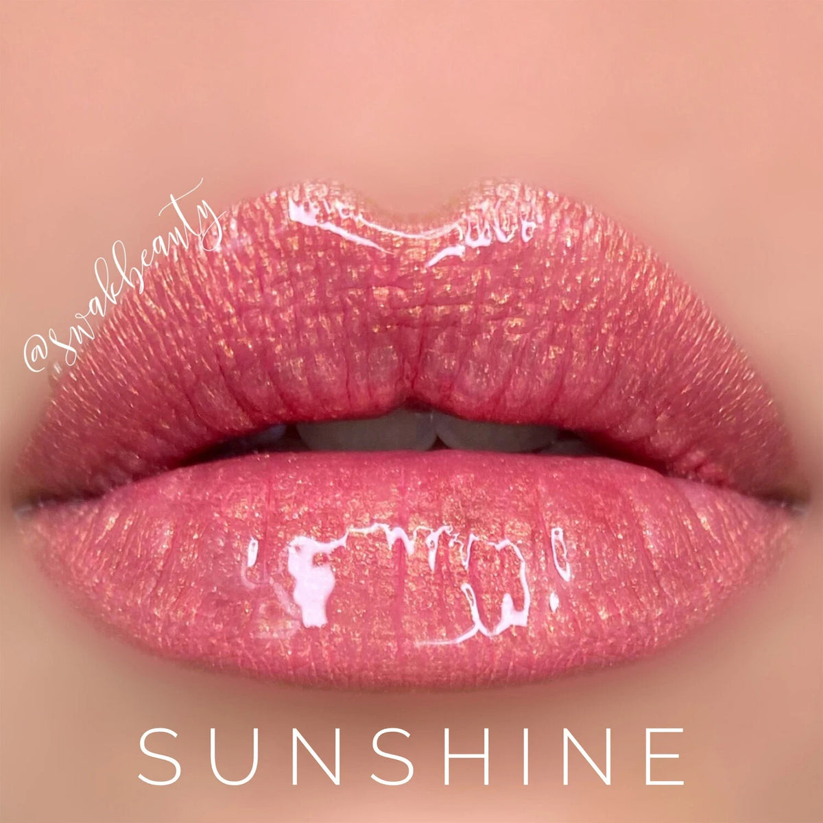 Long-Lasting Lip Color & Gloss Set - All Shades, Smudge-Proof & Waterproof