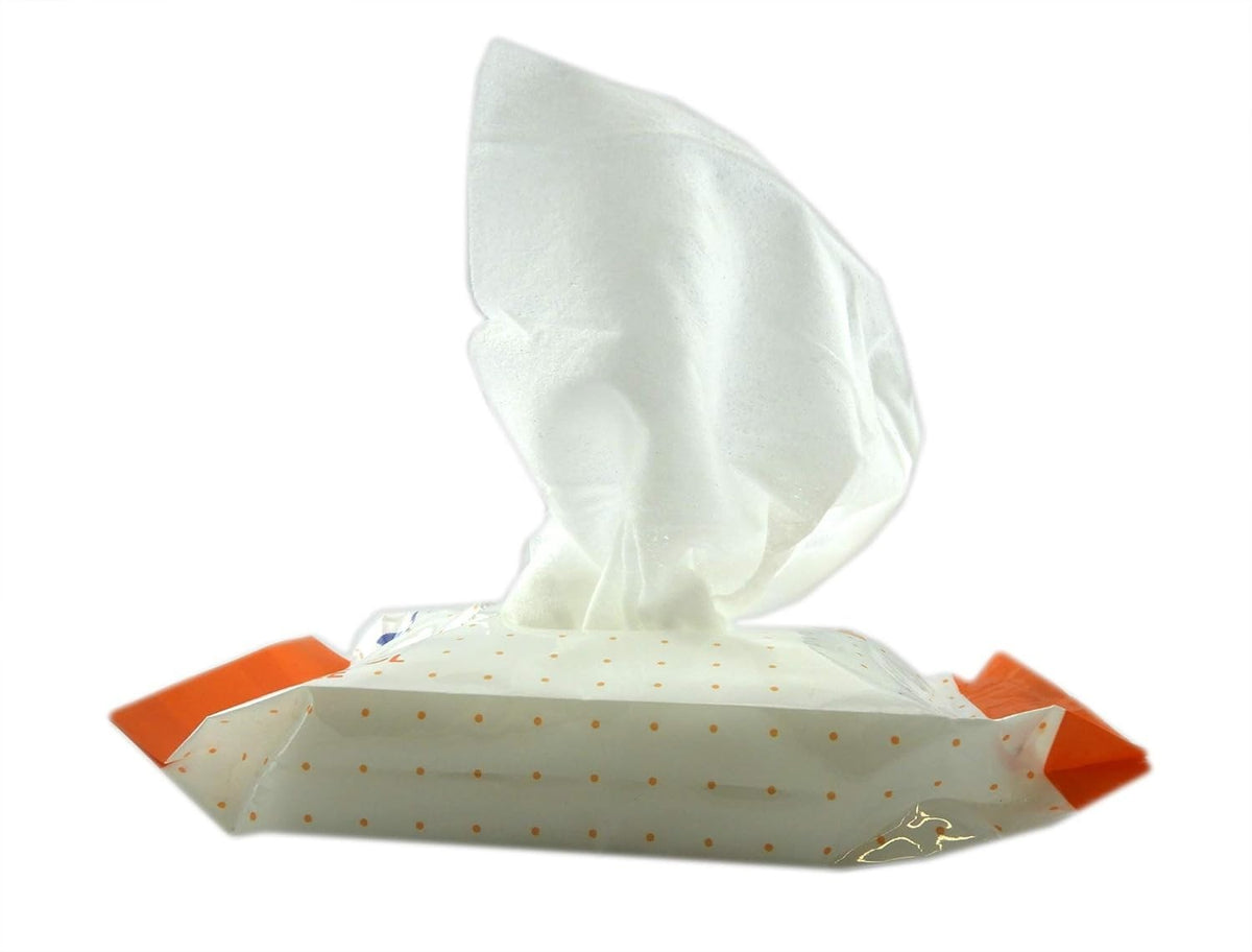 Personal Cleansing Wipes - Alcohol-Free Travel Size with Aloe & Lanolin - 4 Pack