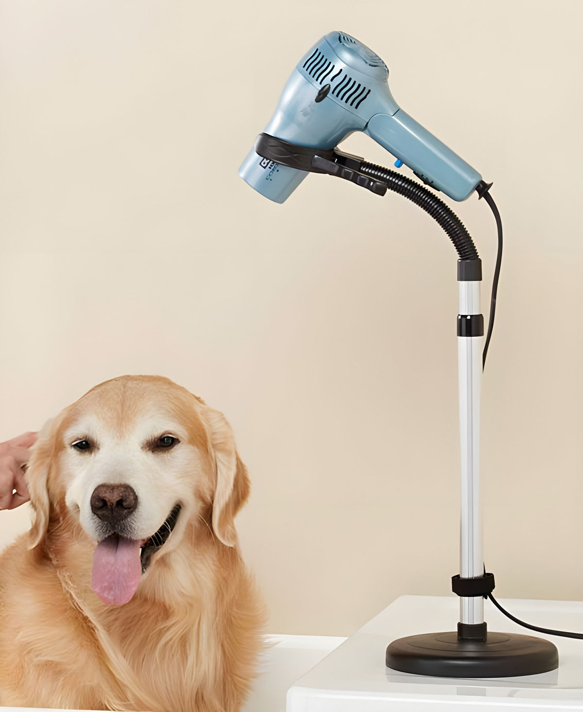 Adjustable Hands-Free Hair Dryer Stand with 360° Rotation & Stable Base