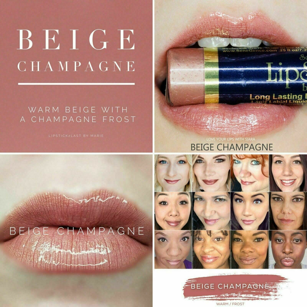 Long-Lasting Lip Color & Gloss Set - All Shades, Smudge-Proof & Waterproof