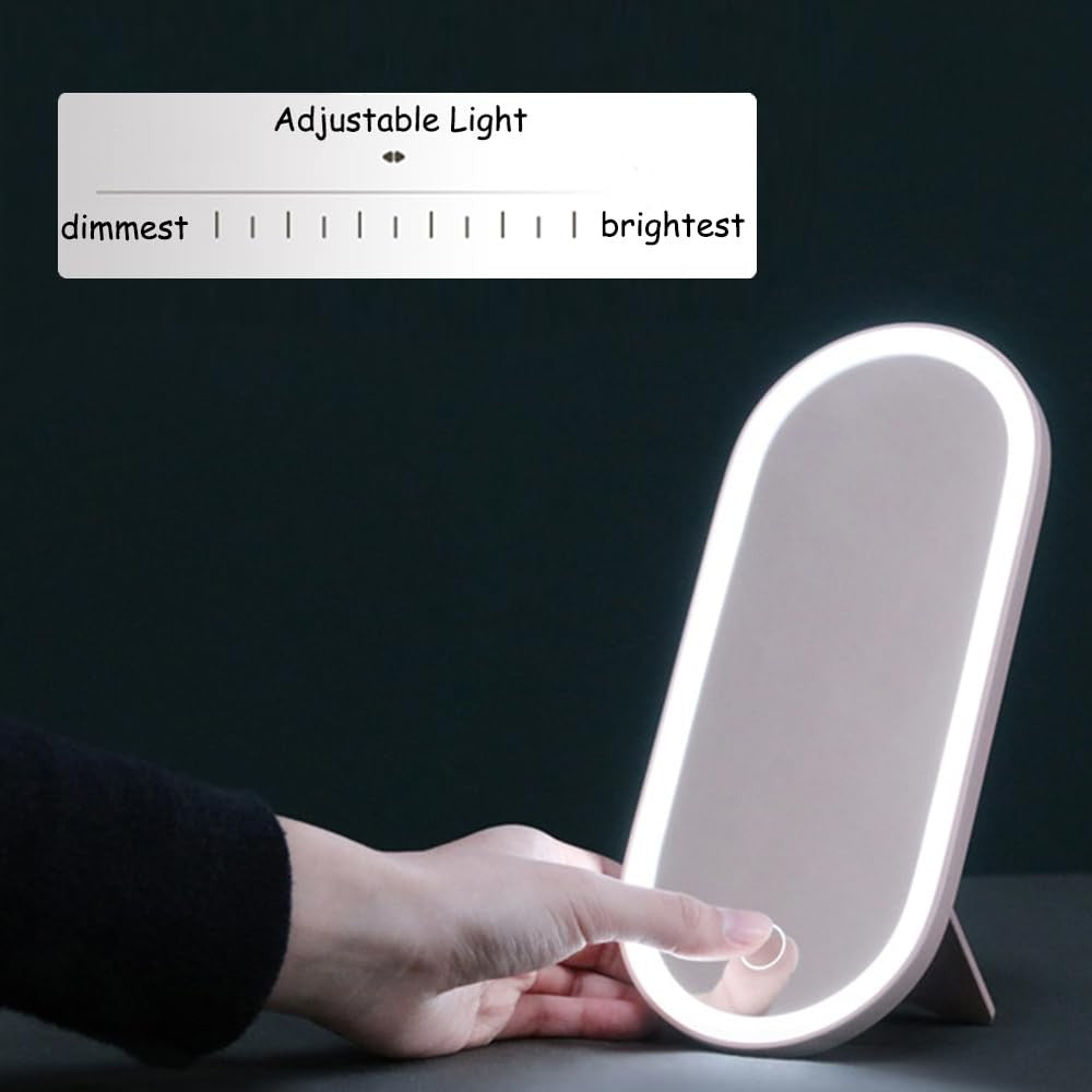 Portable LED Makeup Case with Mirror, Travel Cosmetic Organizer Pink