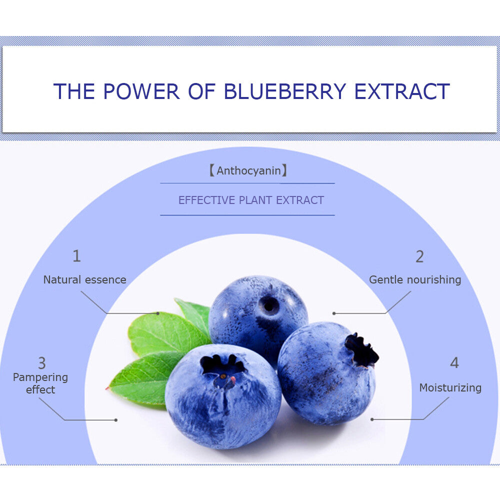 Blueberry Skin Care Set - Facial Cleanser Toner Serum BB Cream Moisturizer