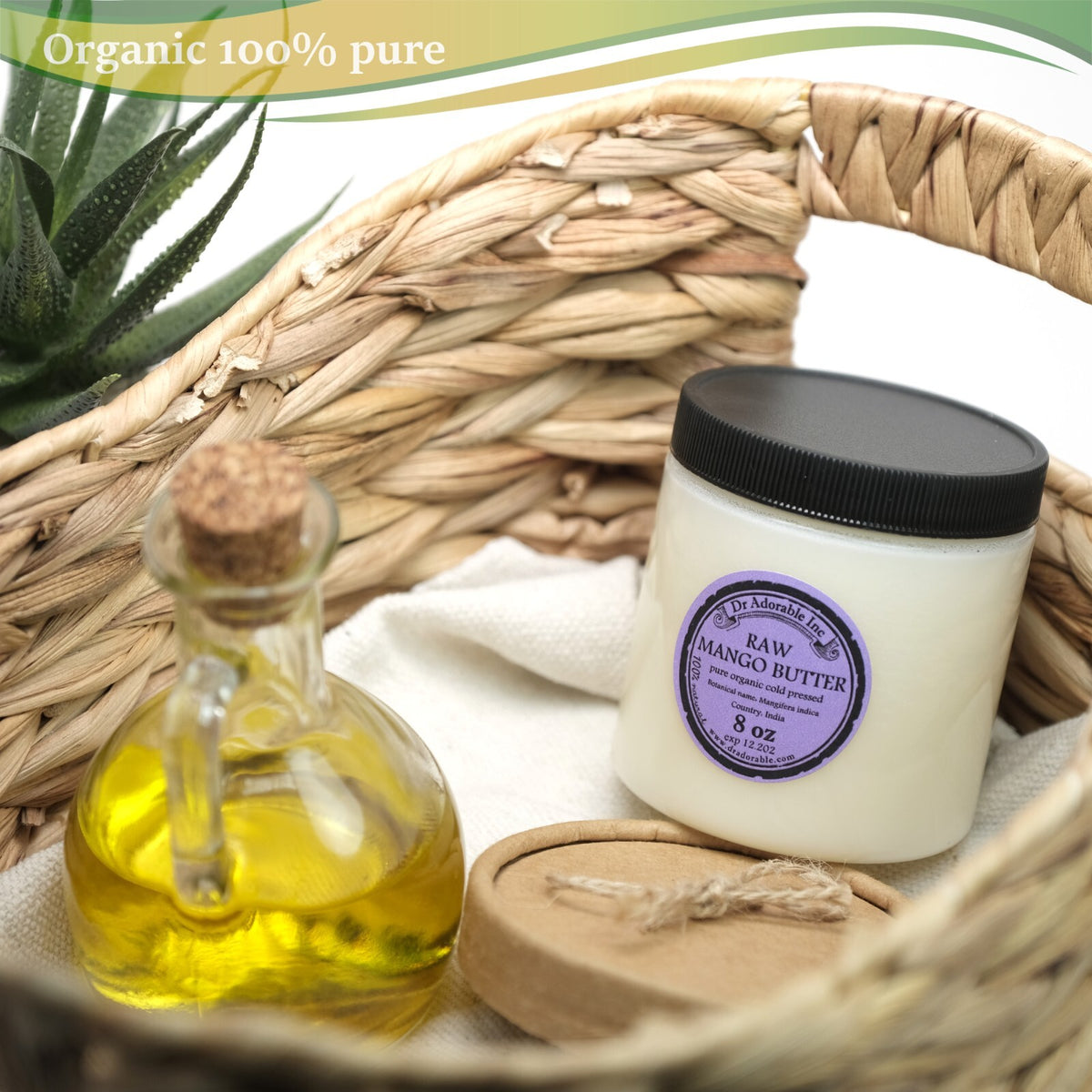 Organic Mango Butter - Cold Pressed Pure