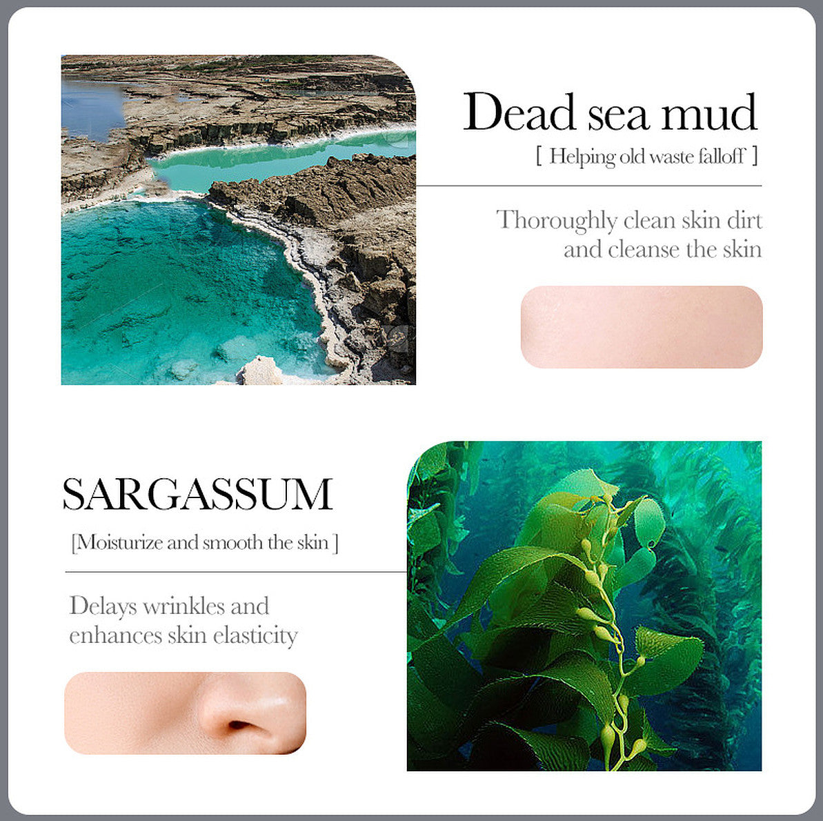 Dead Sea Mud Mask - Oil Control & Blackhead Removal, 8g x 10pcs