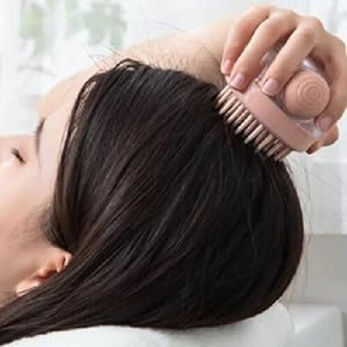 2 Pack Shampoo Hair Brush Massagers for Scalp & Hair Care