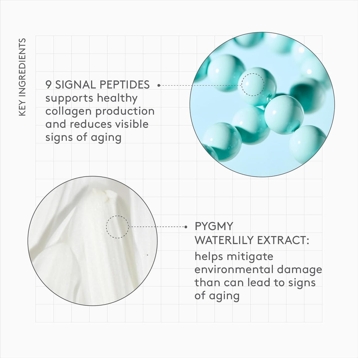 Hydrating Firming Face Moisturizer with Polypeptides - 50ml
