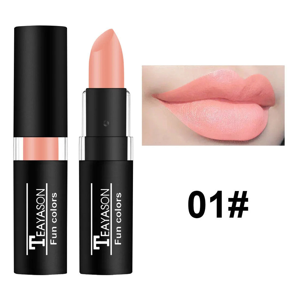 Waterproof Matte Lipstick - Red Dark Wine, Long-Lasting Lip Body Paint