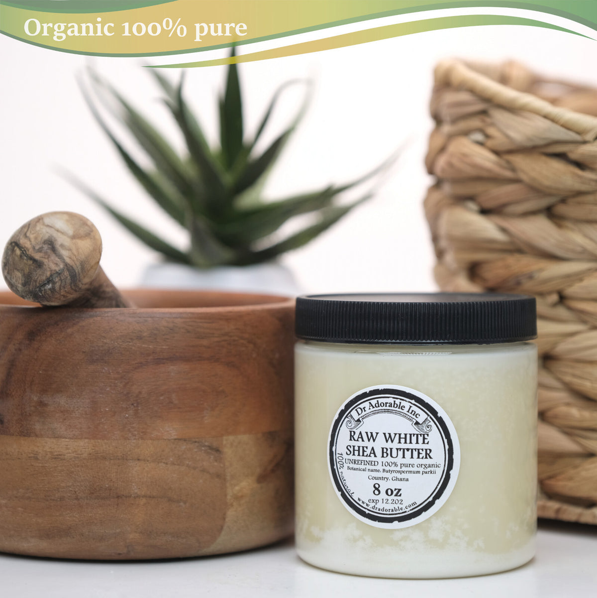 Unrefined White Shea Butter - 100% Organic Raw