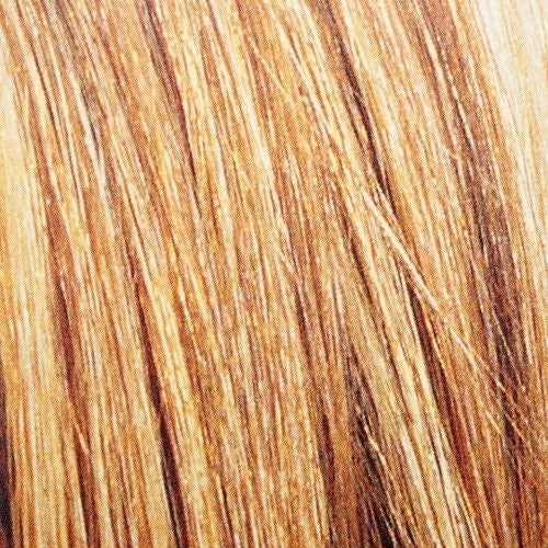 Hair Color and Highlights Kit, Toasted