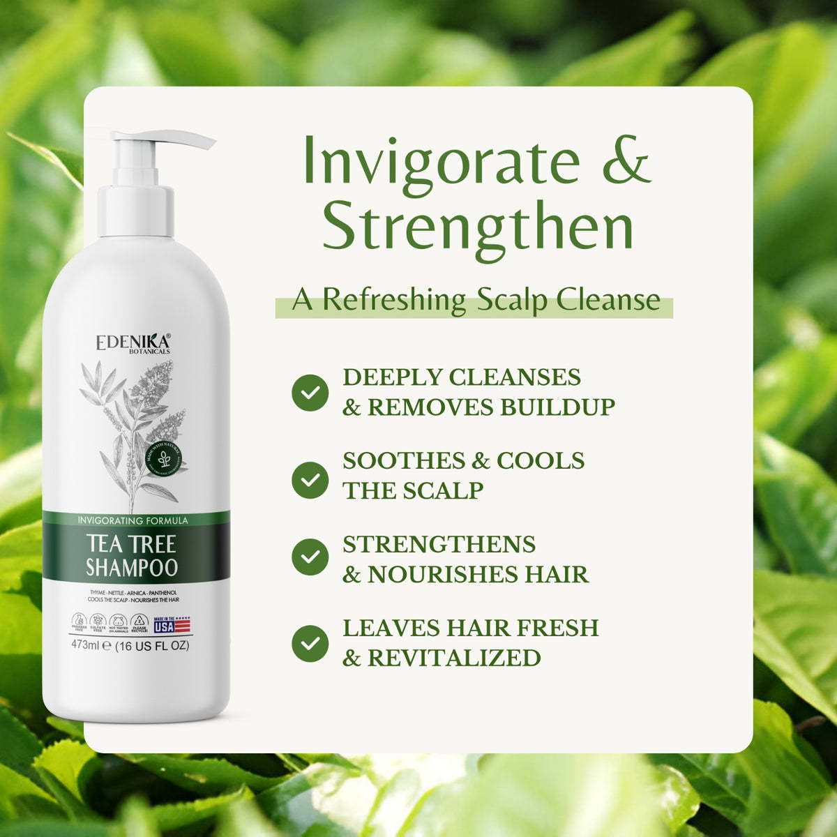 Tea Tree Clarifying Shampoo for Scalp Buildup & Dandruff - 3 Pack